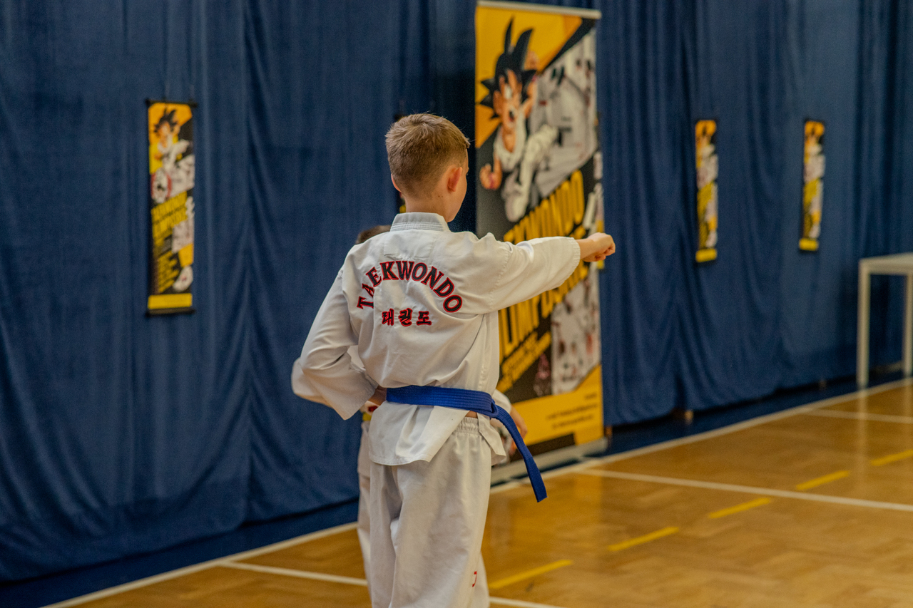 Zajęcia Taekwondo w roku szkolnym 2025/26