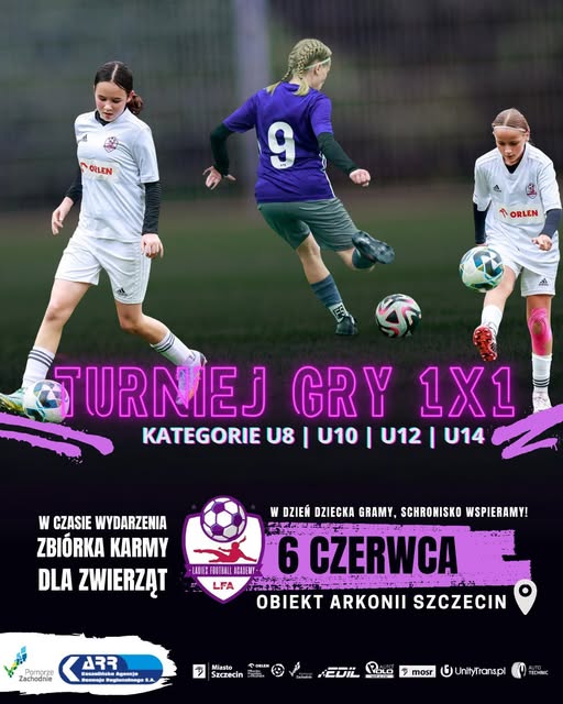 Turniej gry 1x1 dla schroniska!