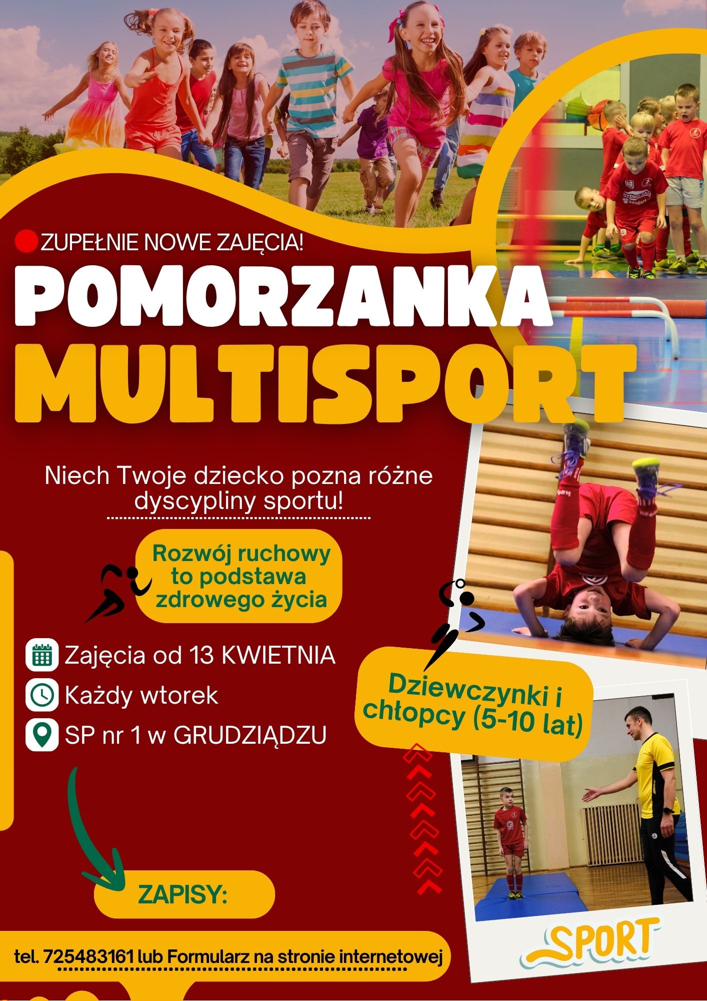 Nowe zajęcia ogólnorozwojowe – Pomorzanka MULTISPORT!