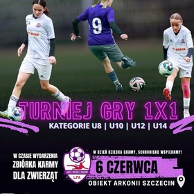 Turniej gry 1x1 dla schroniska!