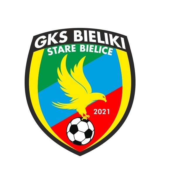 D1 Młodzik Starszy 2013/2014