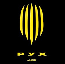 ДЮСШ "Рух" 2 ліцей (2009-2011)